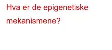 Hva er de epigenetiske mekanismene?