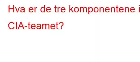 Hva er de tre komponentene i CIA-teamet?