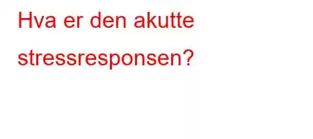 Hva er den akutte stressresponsen?