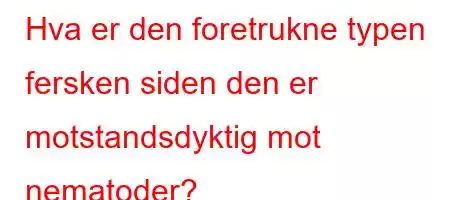 Hva er den foretrukne typen fersken siden den er motstandsdyktig mot nematoder?