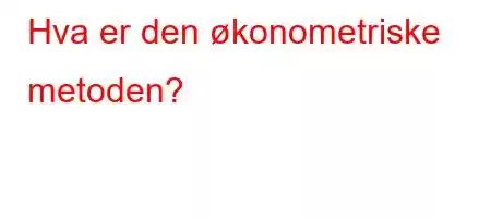 Hva er den økonometriske metoden?