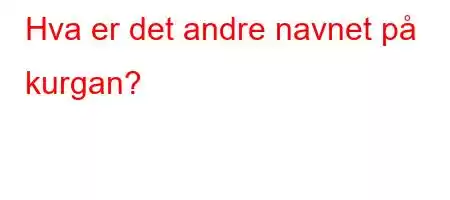 Hva er det andre navnet på kurgan?