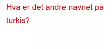 Hva er det andre navnet på turkis?