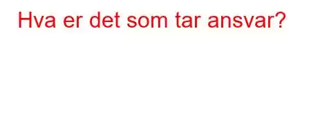 Hva er det som tar ansvar?