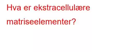 Hva er ekstracellulære matriseelementer?