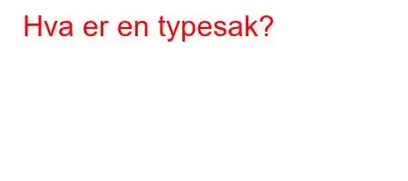 Hva er en typesak