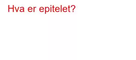 Hva er epitelet?