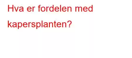 Hva er fordelen med kapersplanten?