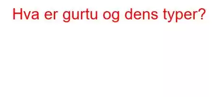 Hva er gurtu og dens typer