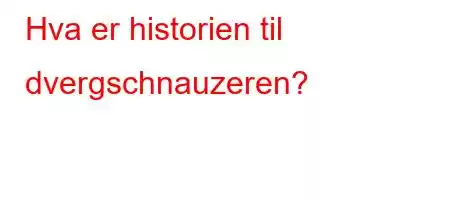 Hva er historien til dvergschnauzeren?