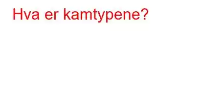 Hva er kamtypene?