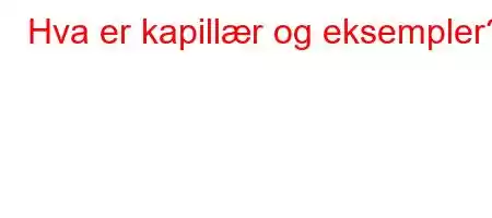 Hva er kapillær og eksempler