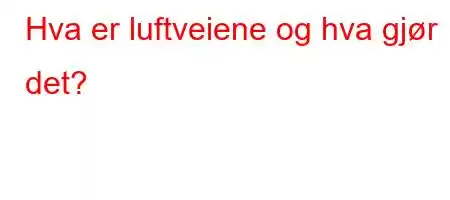 Hva er luftveiene og hva gjør det?