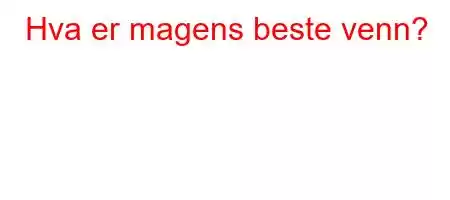 Hva er magens beste venn?