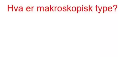 Hva er makroskopisk type?