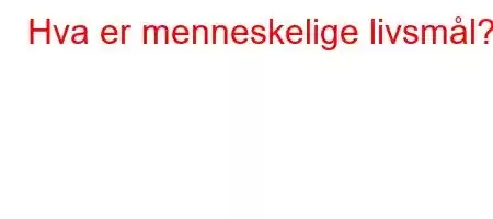 Hva er menneskelige livsmål?