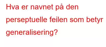 Hva er navnet på den perseptuelle feilen som betyr generalisering?