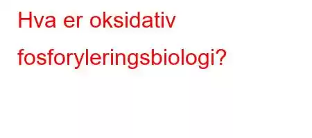 Hva er oksidativ fosforyleringsbiologi