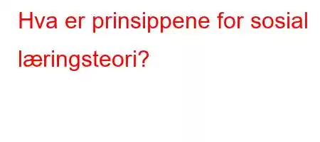 Hva er prinsippene for sosial læringsteori?