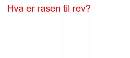 Hva er rasen til rev