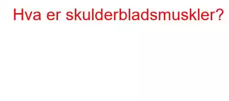 Hva er skulderbladsmuskler