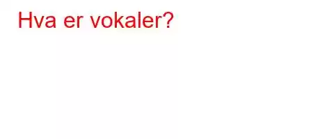 Hva er vokaler