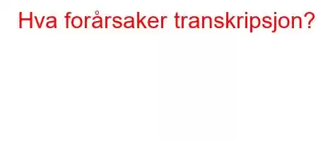 Hva forårsaker transkripsjon