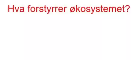 Hva forstyrrer økosystemet?