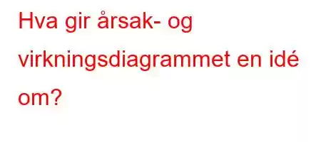 Hva gir årsak- og virkningsdiagrammet en idé om?