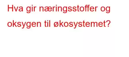 Hva gir næringsstoffer og oksygen til økosystemet?