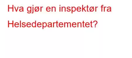 Hva gjør en inspektør fra Helsedepartementet?