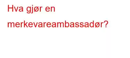 Hva gjør en merkevareambassadør?