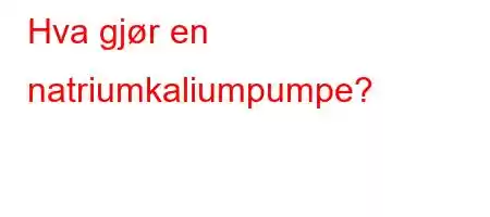 Hva gjør en natriumkaliumpumpe?