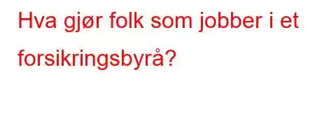 Hva gjør folk som jobber i et forsikringsbyrå