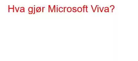 Hva gjør Microsoft Viva?