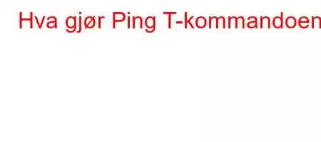 Hva gjør Ping T-kommandoen?