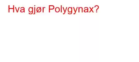 Hva gjør Polygynax?