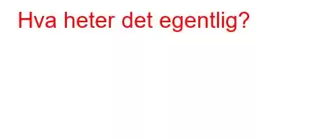 Hva heter det egentlig?