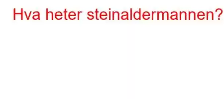 Hva heter steinaldermannen