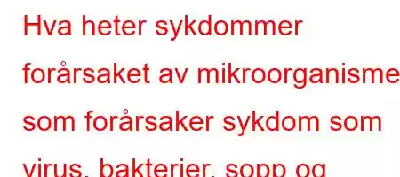 Hva heter sykdommer forårsaket av mikroorganismer som forårsaker sykdom som virus, bakterier, sopp og parasitter?