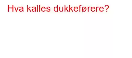 Hva kalles dukkeførere