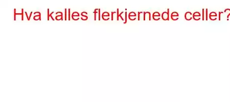 Hva kalles flerkjernede celler?