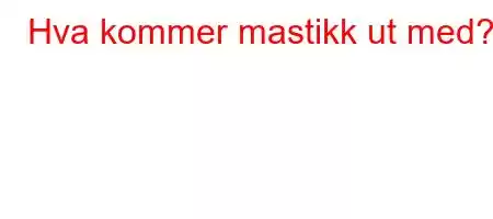 Hva kommer mastikk ut med?