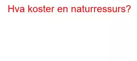 Hva koster en naturressurs