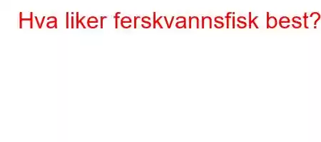 Hva liker ferskvannsfisk best