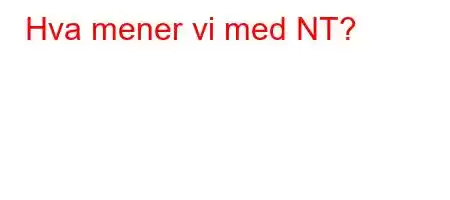 Hva mener vi med NT?