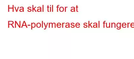 Hva skal til for at RNA-polymerase skal fungere