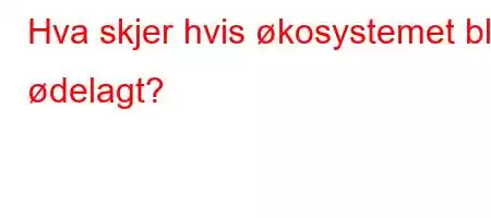 Hva skjer hvis økosystemet blir ødelagt