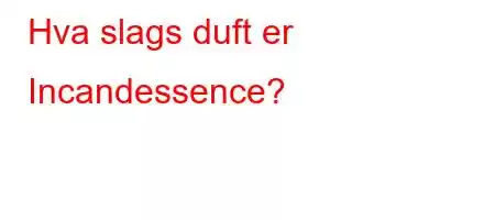 Hva slags duft er Incandessence?