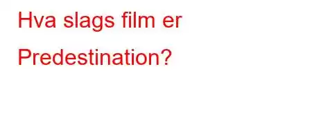 Hva slags film er Predestination